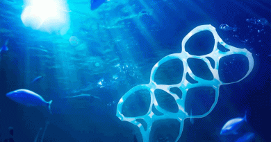 Plasticos en el mar