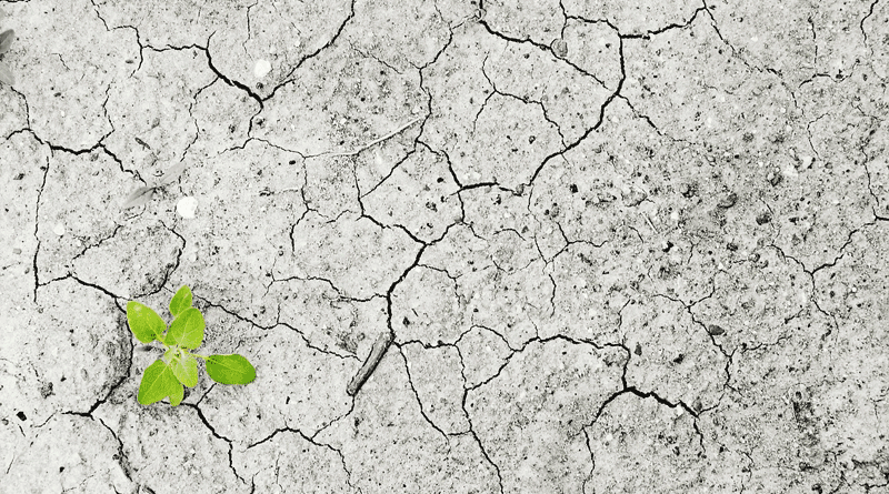 suelos y cambio climático