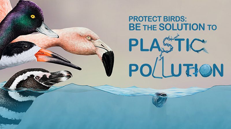 Protege las aves: haz algo práctico contra la contaminación por plásticos