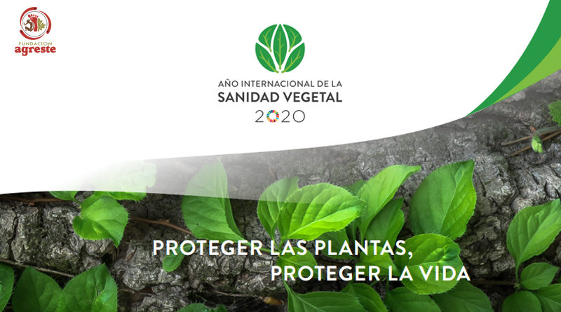 Sanidad Vegetal, proter las plantas es proteger la vida