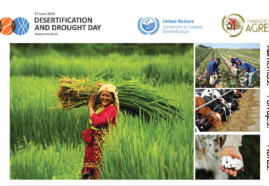 Día Mundial de la Lucha contra la Desertificación