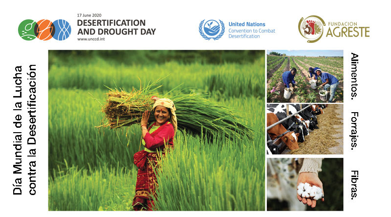 Día Mundial de la Lucha contra la Desertificación